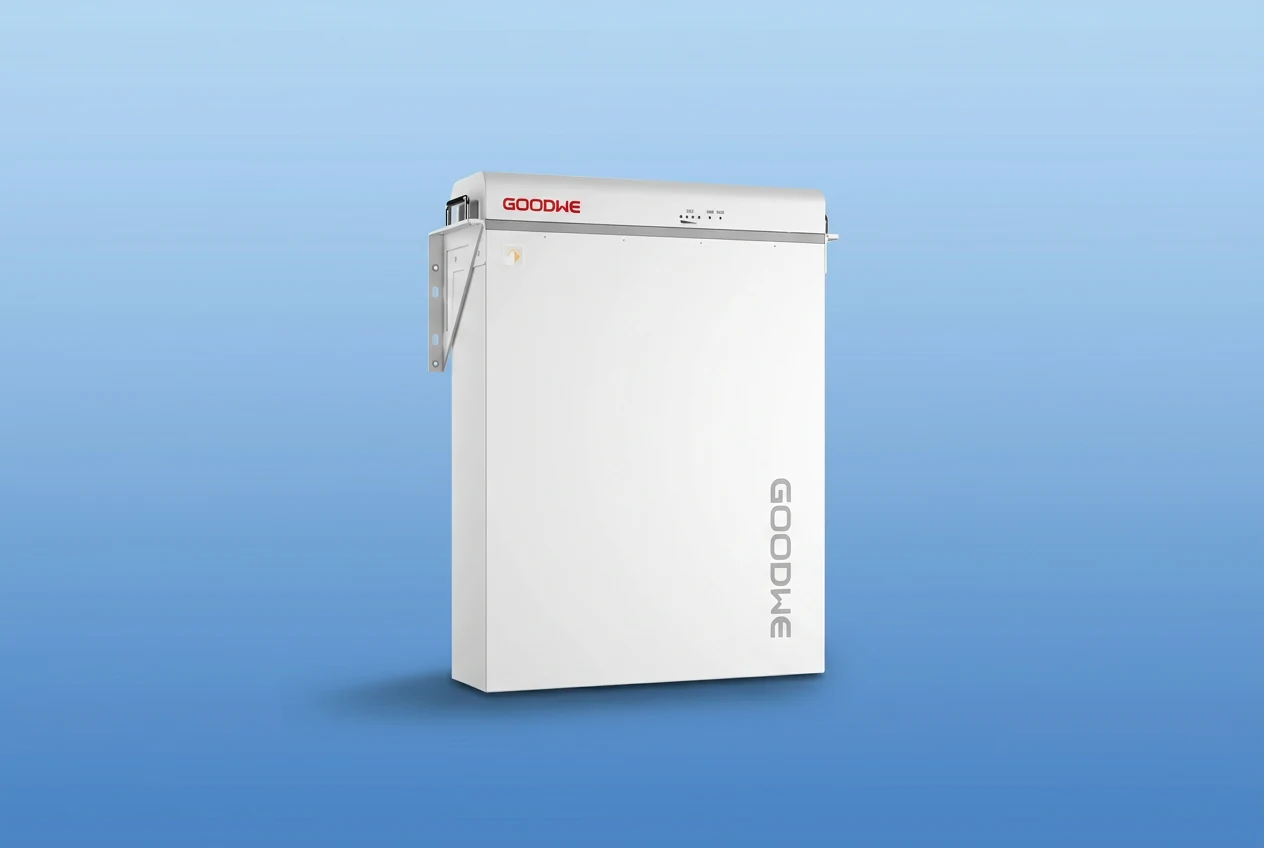 GoodWe Battery 51V 100Ah